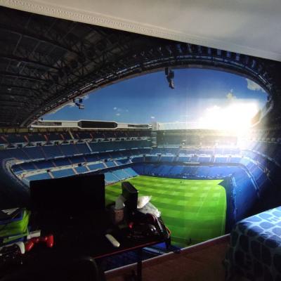 Rotulacion Vinilos 15